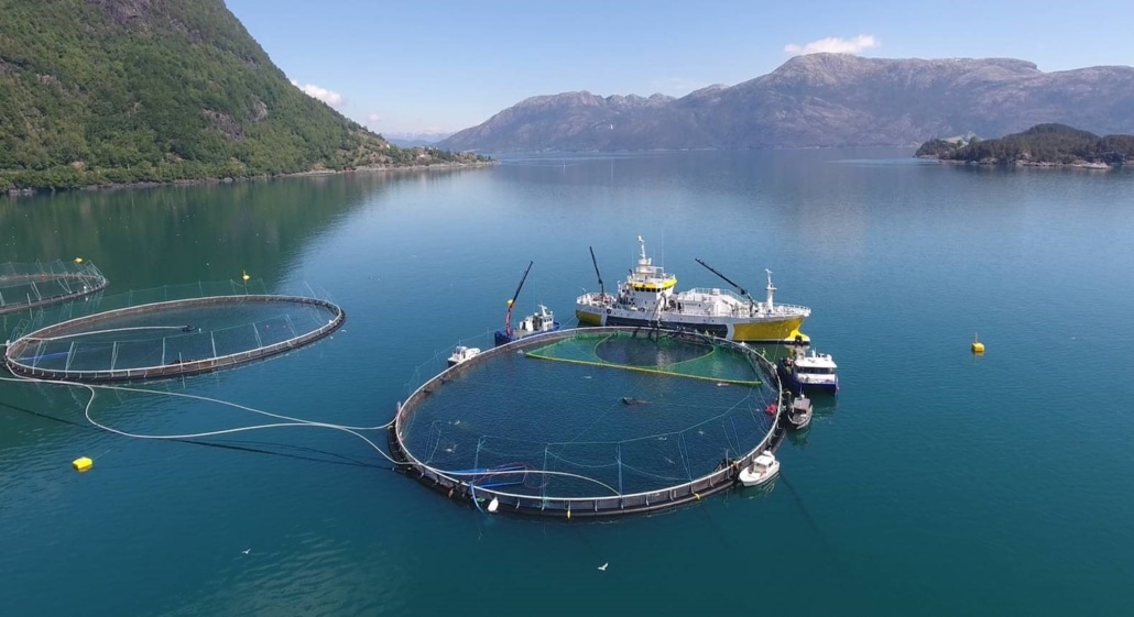 Ikon for ASKVIKNOTA – CATCHLICE